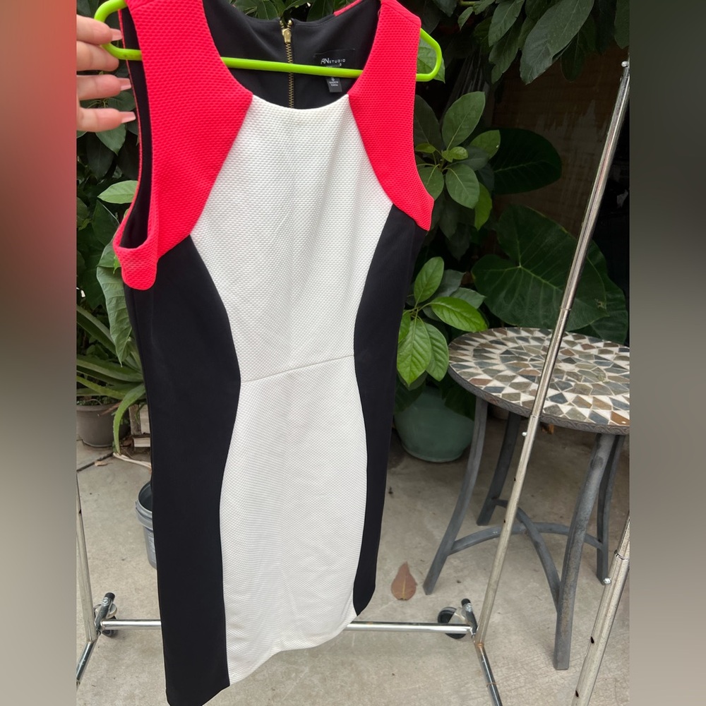Rn studio by ronni nicole dress color block